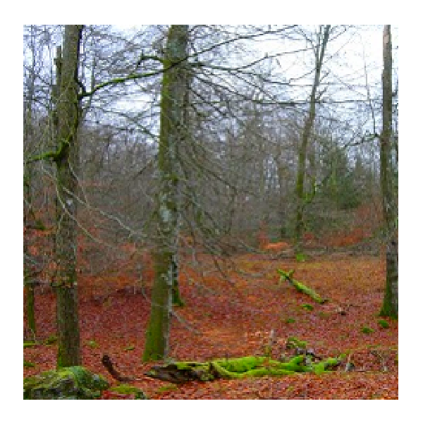 Åsbygget naturreservat Åsbygget naturreservat