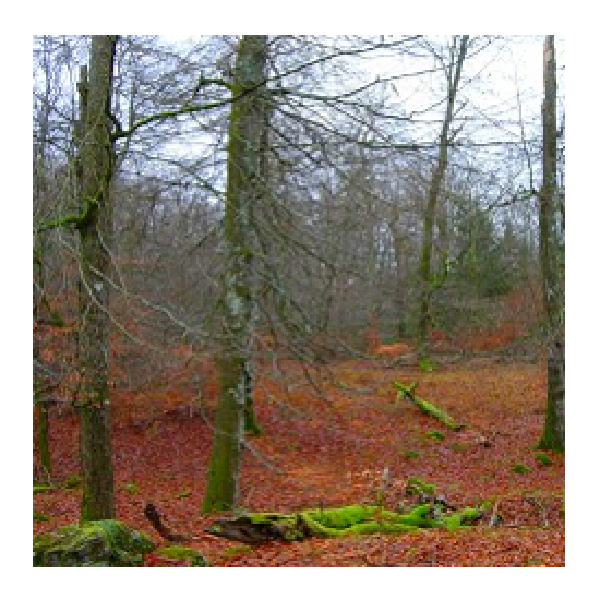 Åsbygget naturreservat