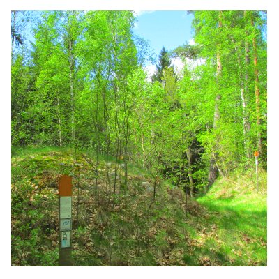 Dödsröset Dödsröset