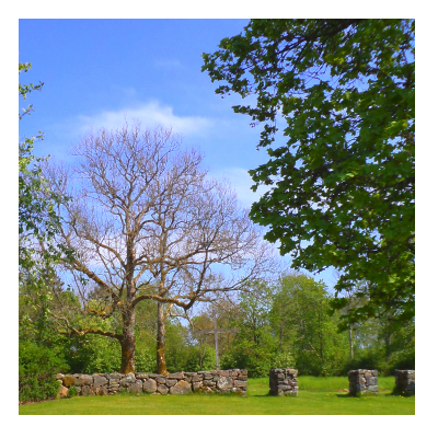 Kyrkoruinen Kyrkoruinen