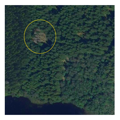 Massgraven i Uddared Massgraven i Uddared