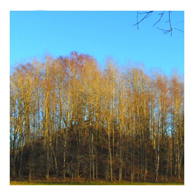 Rigenshöj Rigenshöj