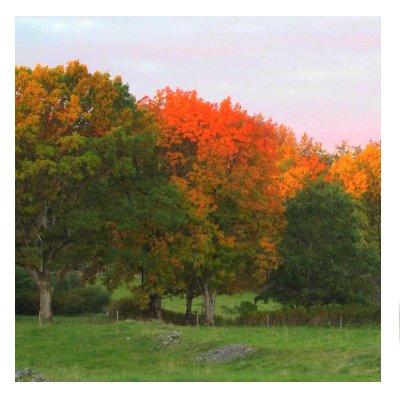 Fornåkrarna i Uddared Fornåkrarna i Uddared