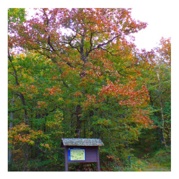 Blåalt naturreservat Blåalt naturreservat