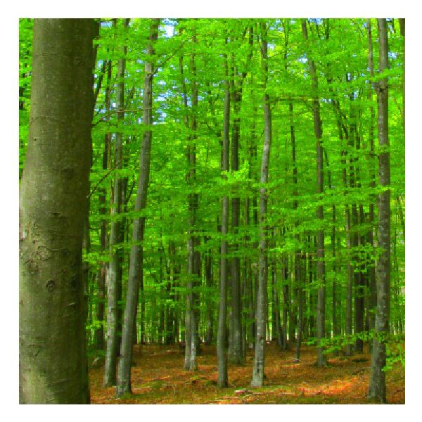 Tygared naturreservat Tygared naturreservat