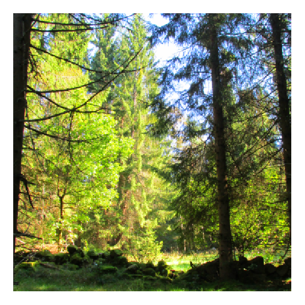 Knutstorp naturreservat Knutstorp naturreservat