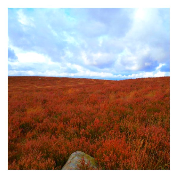 Mästocka naturreservat Mästocka naturreservat