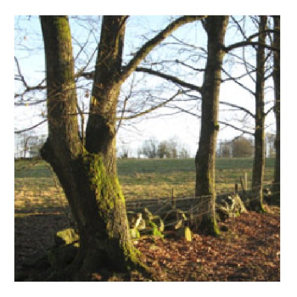 Västralt Naturreservat Västralt Naturreservat